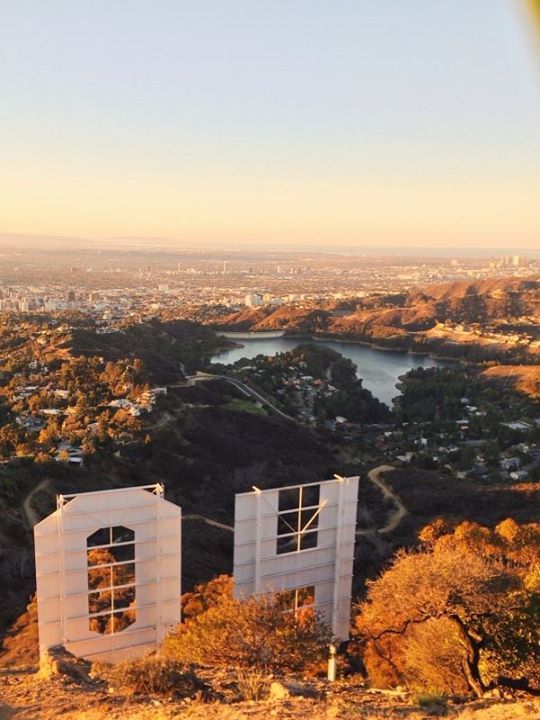 Good Morning from Hollywood Hills by Connor McSheffrey
