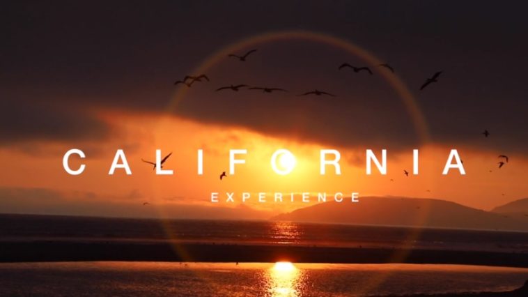 california experience
