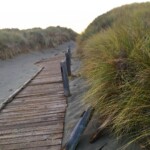 Bodega Bay Dunes Campground by gracedaytonn Bodega Bay Dunes Campground by gracedaytonn