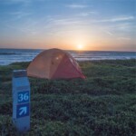 Half Moon Bay State Beach by brodeuremilie Half Moon Bay State Beach by brodeuremilie