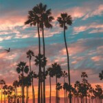 Sunset in Venice Beach California by Scott Lipps | California Feelings Sunset in Venice Beach California by Scott Lipps | California Feelings