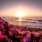 La Jolla Cove, San Diego, California by william.tng La Jolla Cove, San Diego, California by william.tng