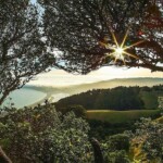 Mount Tamalpais State Park by 8th.king Mount Tamalpais State Park by 8th.king