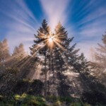 Mount Tamalpais by Nicholas Steinberg Photography Mount Tamalpais by Nicholas Steinberg Photography