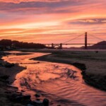Crissy Field | Dan Kurtzman Photography Crissy Field | Dan Kurtzman Photography