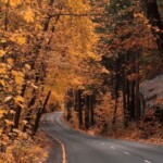 Yosemite National Park in the fall by Jennkichinko Yosemite National Park in the fall by Jennkichinko